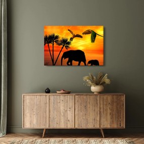 Kép - papagájok és elefántok (90x60 cm)