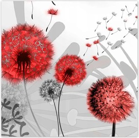 Poszterek 100x100 Piros pitypangok