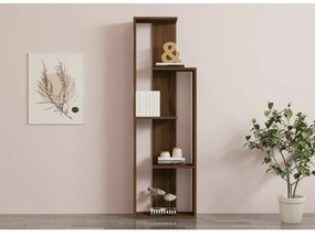 Wand Walnut könyvtár