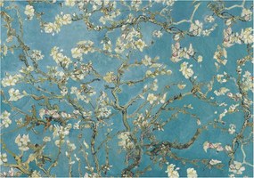 Fotótapéta Flizelin Dekoratív Hálószoba Virágzó ágak 312x219