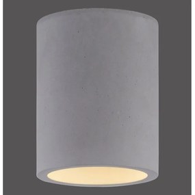 Paul Neuhaus 6160-22 - Spotlámpa ETON 1xGU10/10W/230V