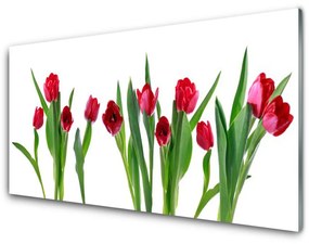 Akrilkép Tulipán virágok Plant 100x50 cm 2 fogas