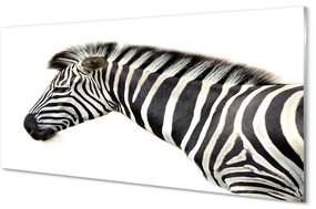 Üvegképek zebra 100x50 cm 2 fogas