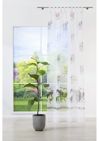 Átlátszó gyerek függöny 140x245 cm Jurassic - Mendola Fabrics