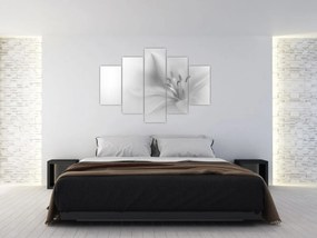Kép - Delicate Lily (150x105 cm)