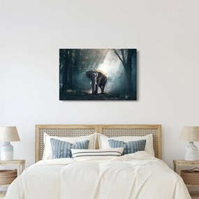 Elefánt a dzsungelben képe (90x60 cm)
