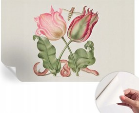 Öntapadós Stílusos Dekoratív Fotótapéta Tulipán szépség 416x254 cm