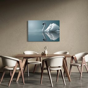 Kép - Fehér hattyú (90x60 cm)