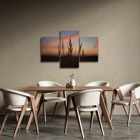 Kép - A növény sziluettje (90x60 cm)