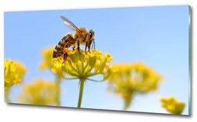 Egyedi üvegkép Méh a virágon osh-83831573