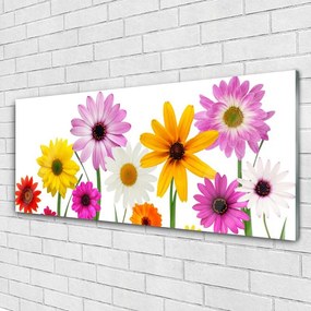 Üvegkép Színes virágok természet 125x50 cm