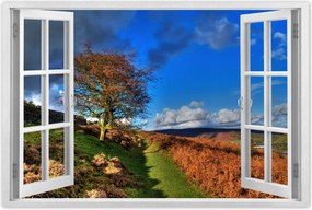 Poszterek 60x40 Fa a kilátásban