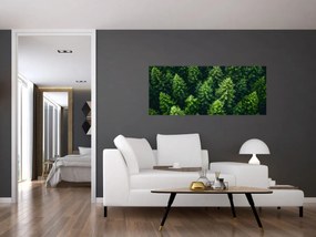 Kép - Forest (120x50 cm)