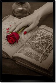 Poszterek keretben 40x60 Vörös rózsa a könyvön