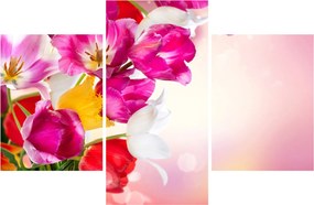 Tulipán képe (90x60 cm)