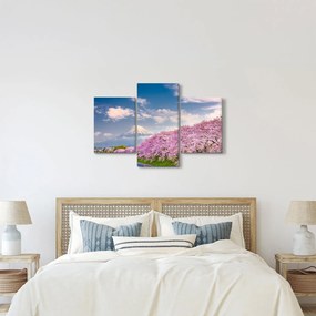 Kép - Japán tavaszi táj (90x60 cm)