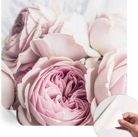 Öntapadós Dekoratív Fotótapéta Hálószobába Rózsaszín rózsák 250x250 cm