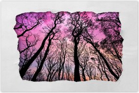 Poszterek 60x40 Tájkép Látvány