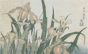 Flizelina Dekoratív Fotótapéta Hálószobába Finom íriszek 416x254 Ragasztó