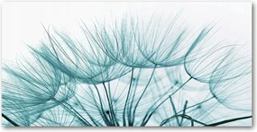 Konyhai panel Pitypang mag 120x60 cm Ragasztó