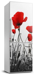 Hűtő matrica Vadvirágok pipacsok FridgeStick-70x190-f-121971489