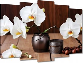 Vászonkép 70x50 Fehér orchideák