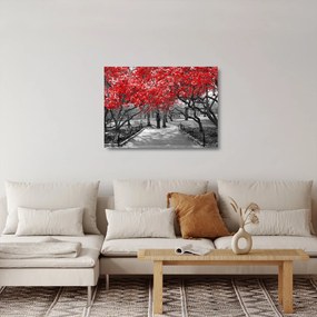 Kép - vörös fák,Central Park, New York (üvegen) (70x50 cm)