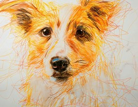 Poszter 65x50cm Bájos vendég