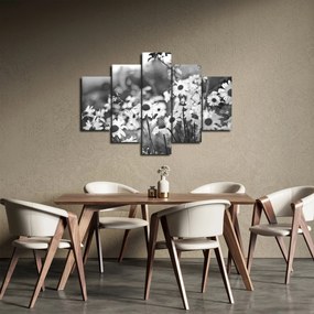 Kép - Százszorszépek (150x105 cm)