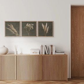 Kép szett 3 db-os 30x30 cm Pampas – Styler