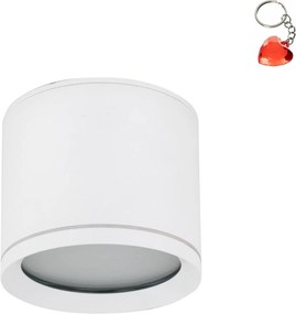 Falra szerelhető spot lámpatest IP44 GX53 11W Vivo White 10595 Tk Lighting Ajándék