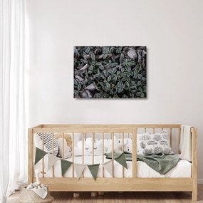 Üveg kép - Fagyasztott növények (70x50 cm)