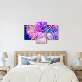 Kép - Makró (90x60 cm)