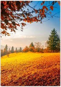 Poszterek 70x100 Őszi táj