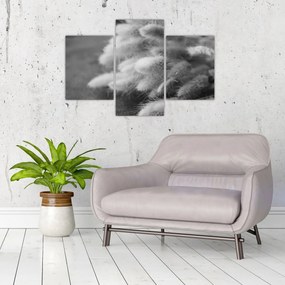 Kép - nyúlfarknyi fű az asztalon (90x60 cm)