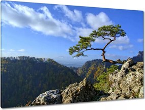 Festmények 120x80 Tájképek Kilátások Tájképek