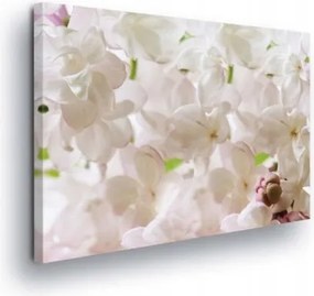 Vászonkép 60x40 Virágok virágzás tavasz finomság lila pasztell frissesség