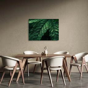 Üveg kép - A lap részletei (70x50 cm)