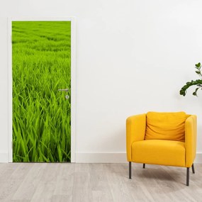 Fotótapéta ajtóra - Fű (95x205cm)