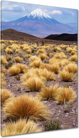 Festmények 80x120 Tájképek Kilátások Tájképek