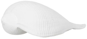 Poligyanta szobor (magasság 5 cm) Seashell – Ixia