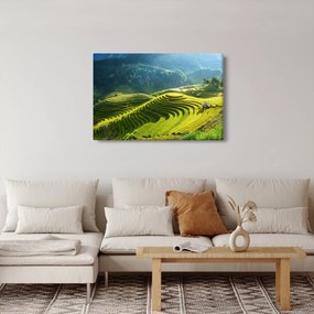 Kép - Rice Terraces koncert (90x60 cm)
