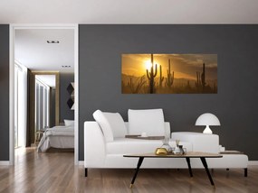 Kép - Saguaro kaktuszok (120x50 cm)