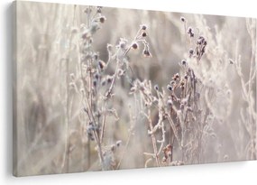 Kép - Növény (90x60 cm)
