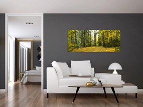 Kép - erdő ősszel (120x50 cm)