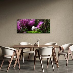 Kép - Csigaház (120x50 cm)