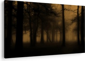 Kép - Sötét erdő (90x60 cm)