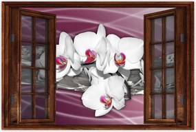 Poszterek 90x60 Orchideák