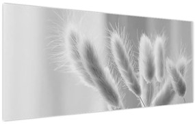 Kép - Nyuszi farok fű (120x50 cm)