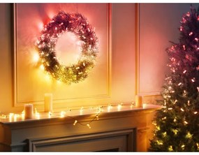 Twinkly TWKC100RGB-G - LED RGB Dimmelhető karácsonyi lánc 100xLED 8 m USB Wi-Fi